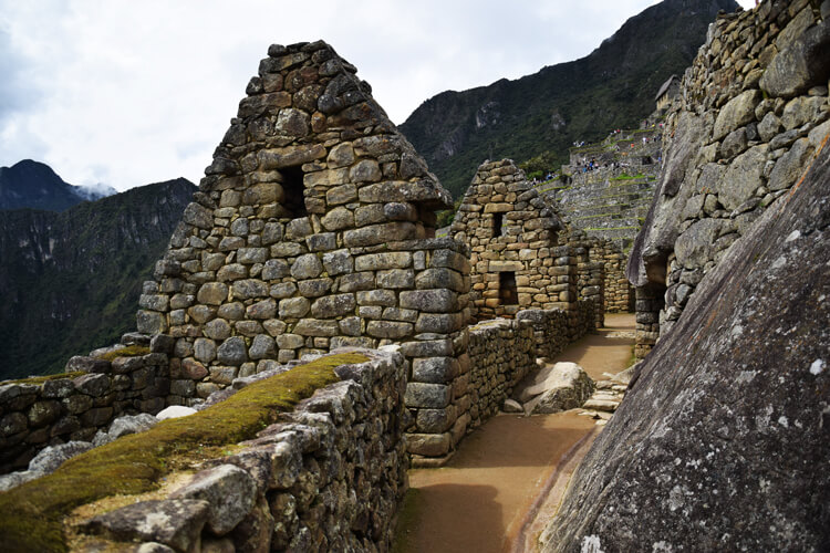 Machu Picchu rue