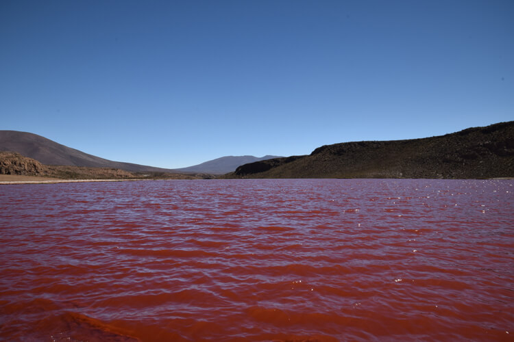 Iquique laguna roja