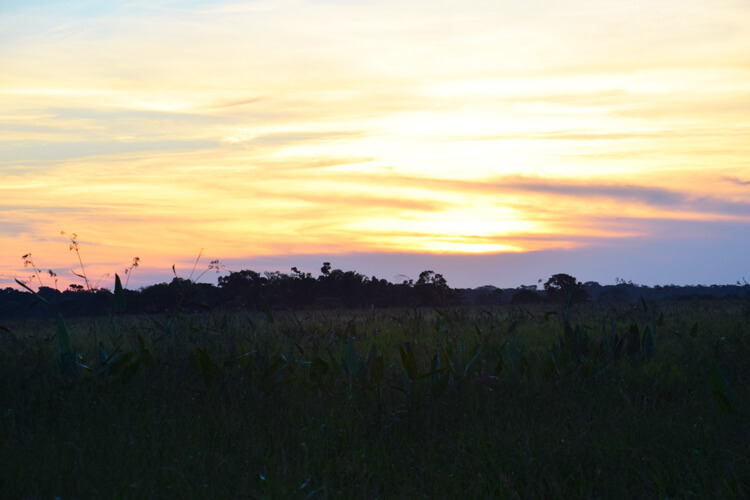 Parc national Madidi coucher soleil
