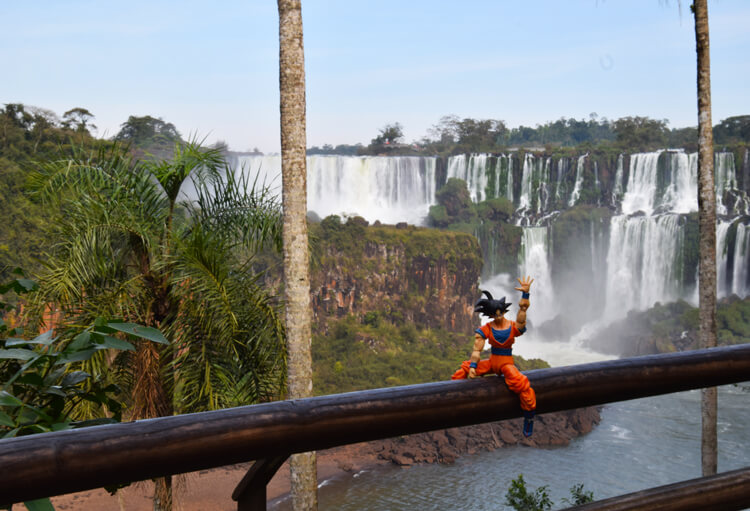 Son Goku Iguazu