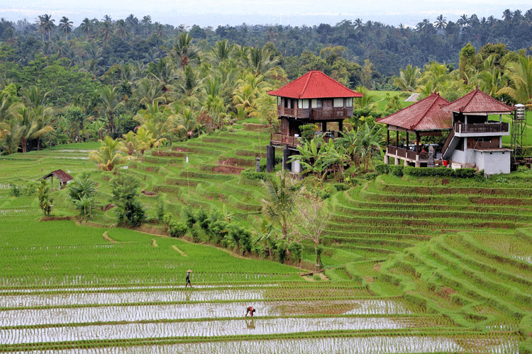 où partir en avril bali