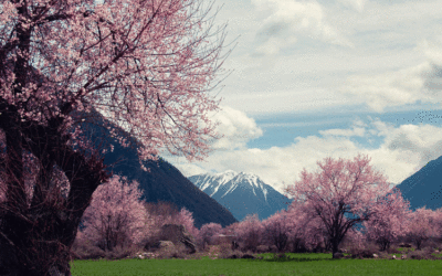 Où partir en avril : 9 destinations nature entre printemps et soleil