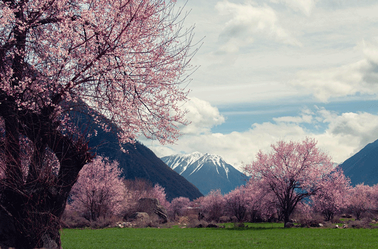 où partir en avril printemps