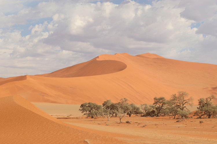 où partir en avril namibie